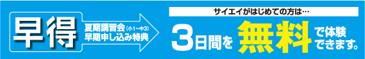�T�C�G�C41���N�V���ȂP���L�����y�[��