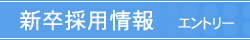 �V���̗p���