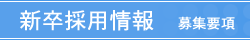 �V���̗p���
