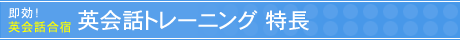 �p��b�g���[�j���O(�p��b���h)�@����