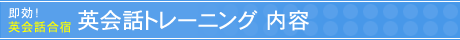 �p��b�g���[�j���O(�p��b���h)�@���e