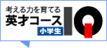 �p�˃R�[�XIQ