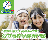 �T�C�G�CDuo