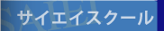 �T�C�G�C������