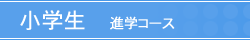 ��p�X�N�[�����w���i�w�R�[�X - ����