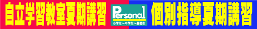 �uPersonal�v�Ċ��u�K��̂��ē�